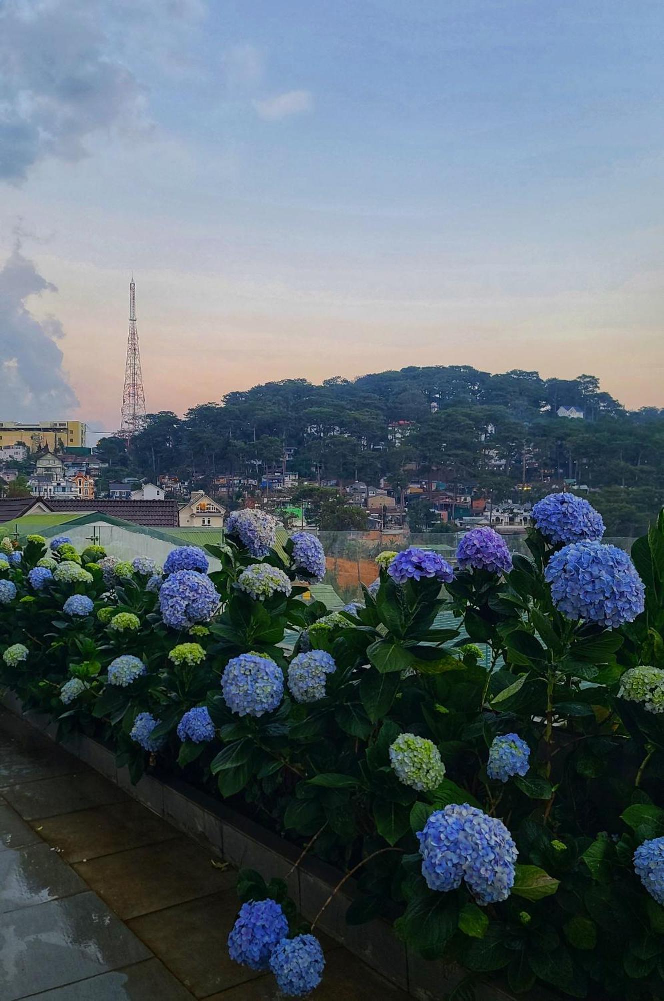 The Luxe Da Lat Hotel Eksteriør billede